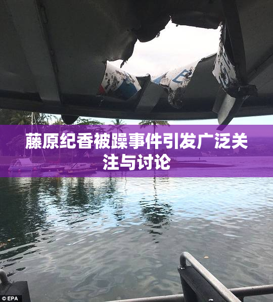 藤原纪香被躁事件引发广泛关注与讨论