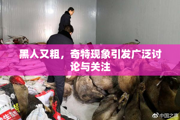 黑人又粗，奇特现象引发广泛讨论与关注