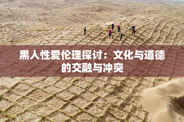 黑人性爱伦理探讨：文化与道德的交融与冲突
