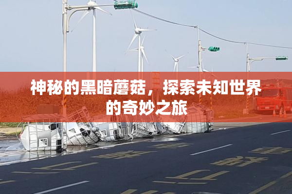 神秘的黑暗蘑菇，探索未知世界的奇妙之旅