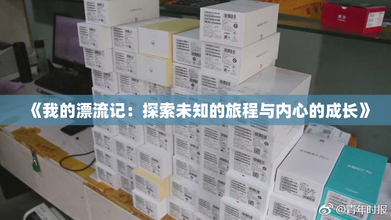 《我的漂流记：探索未知的旅程与内心的成长》