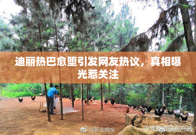 迪丽热巴愈堕引发网友热议，真相曝光惹关注