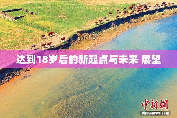 达到18岁后的新起点与未来 展望