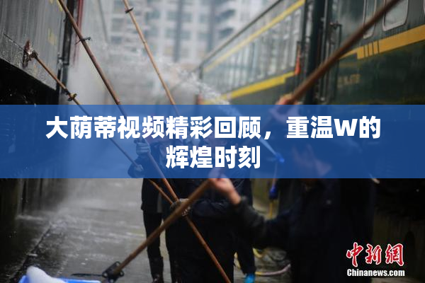 大荫蒂视频精彩回顾，重温W的辉煌时刻