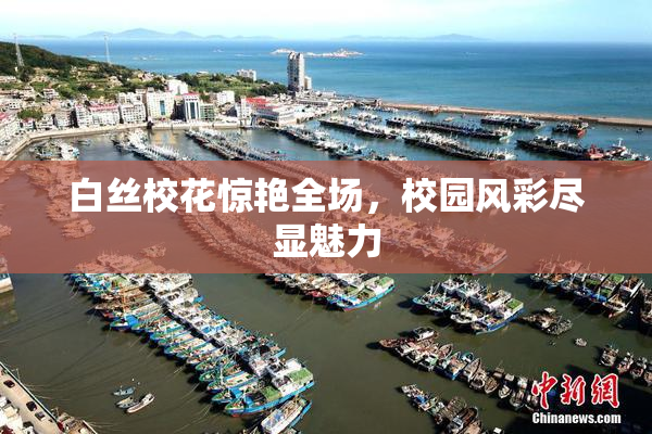 白丝校花惊艳全场，校园风彩尽显魅力