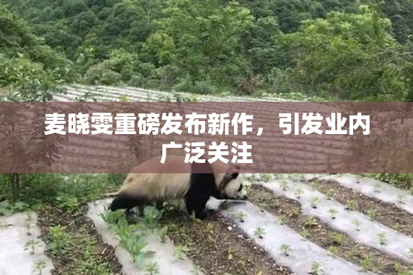 麦晓雯重磅发布新作，引发业内广泛关注