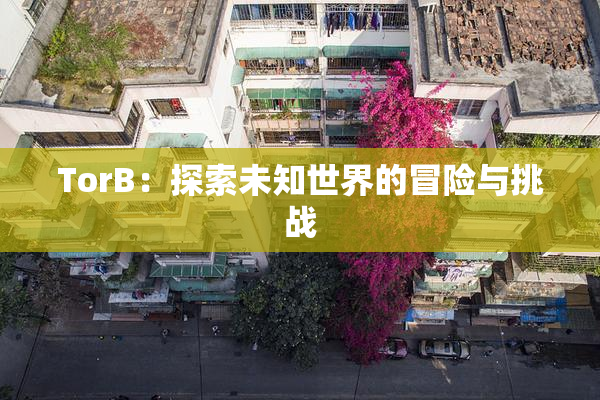 TorB：探索未知世界的冒险与挑战