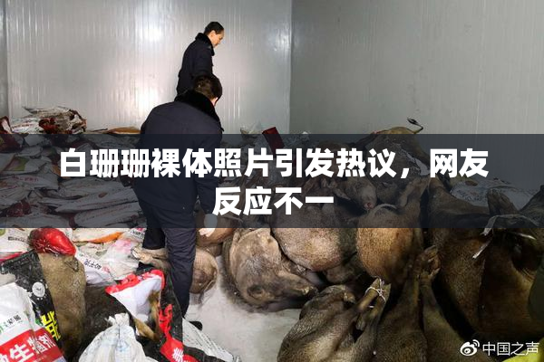白珊珊裸体照片引发热议，网友反应不一