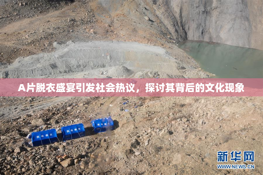 A片脱衣盛宴引发社会热议，探讨其背后的文化现象