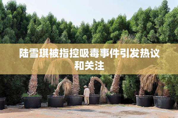 陆雪琪被指控吸毒事件引发热议和关注