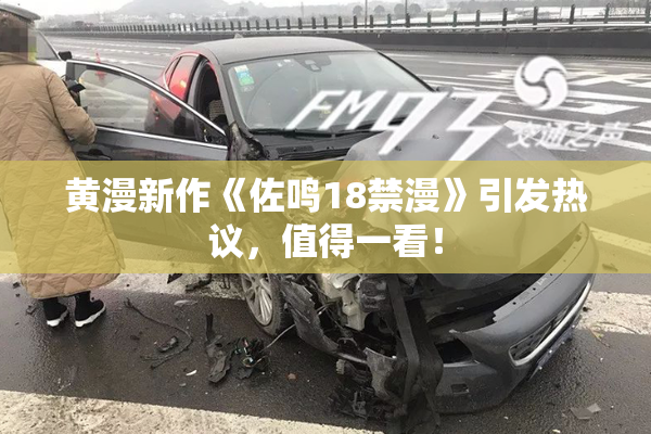 黄漫新作《佐鸣18禁漫》引发热议，值得一看！