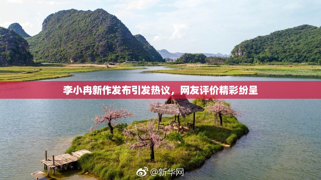 李小冉新作发布引发热议，网友评价精彩纷呈