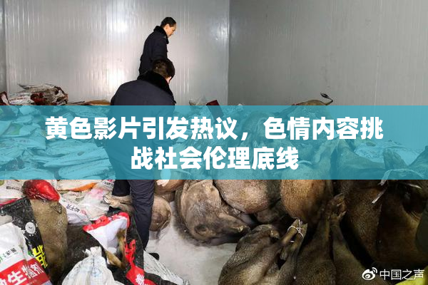 黄色影片引发热议，色情内容挑战社会伦理底线