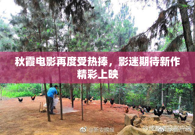 秋霞电影再度受热捧，影迷期待新作精彩上映