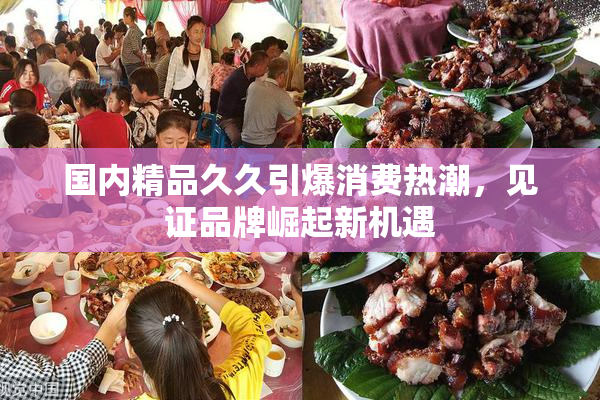 国内精品久久引爆消费热潮，见证品牌崛起新机遇