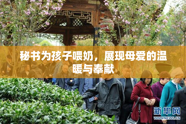 秘书为孩子喂奶，展现母爱的温暖与奉献