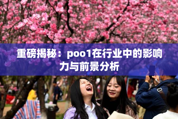 重磅揭秘：poo1在行业中的影响力与前景分析