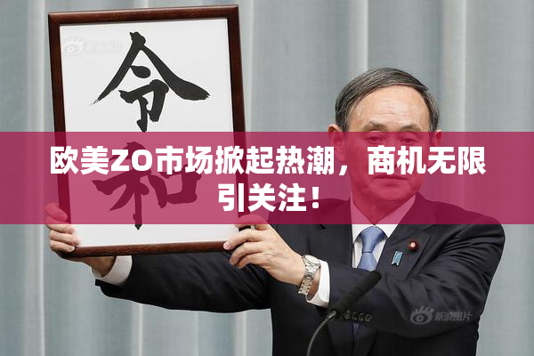 欧美ZO市场掀起热潮，商机无限引关注！