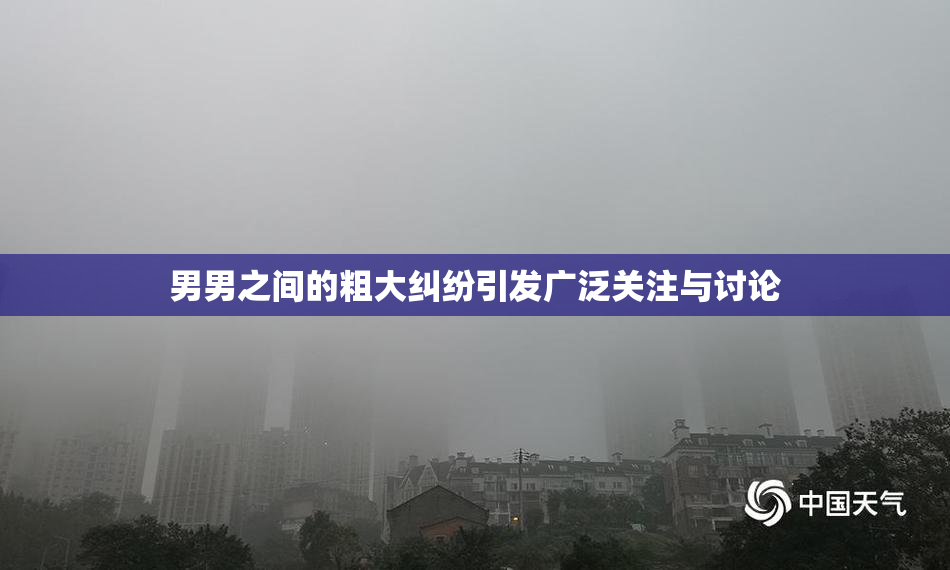 男男之间的粗大纠纷引发广泛关注与讨论