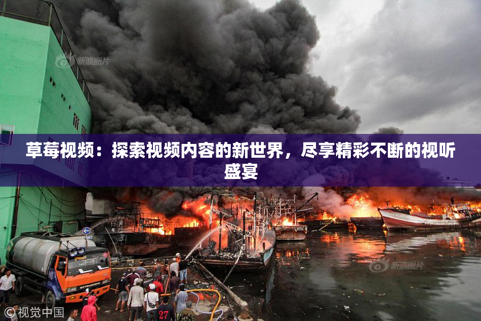 草莓视频：探索视频内容的新世界，尽享精彩不断的视听盛宴