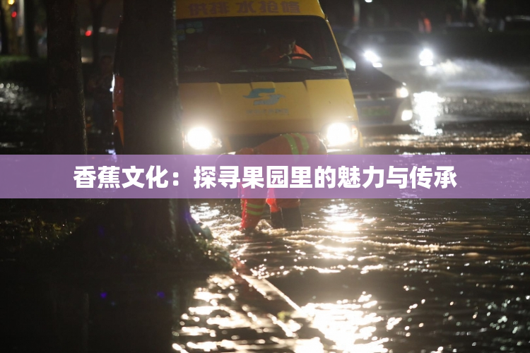 香蕉文化：探寻果园里的魅力与传承