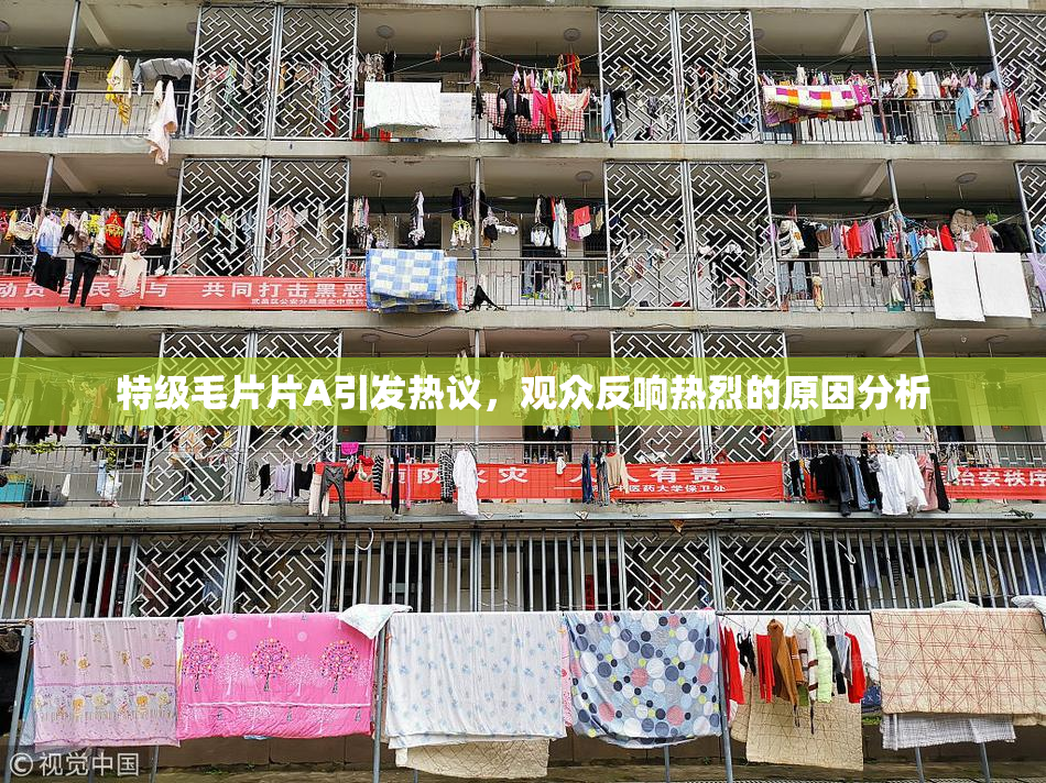 特级毛片片A引发热议，观众反响热烈的原因分析