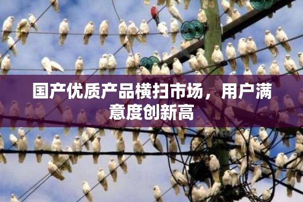 国产优质产品横扫市场，用户满意度创新高