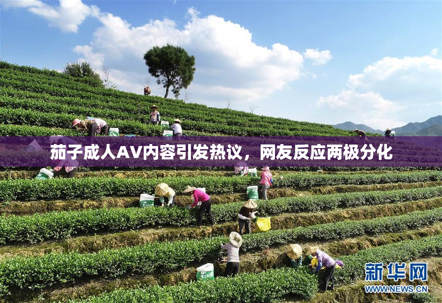 茄子成人AV内容引发热议，网友反应两极分化