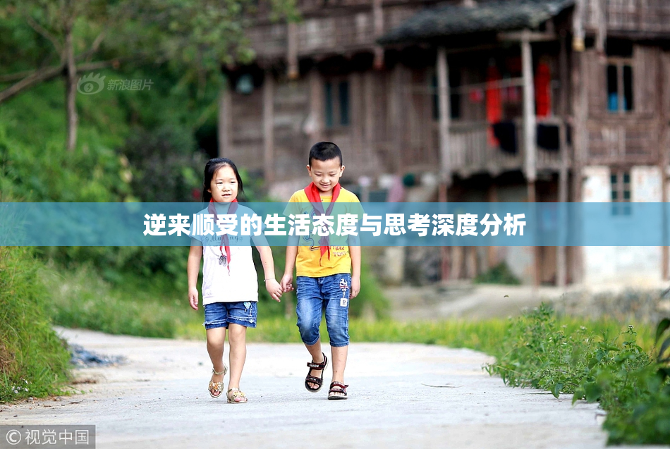 逆来顺受的生活态度与思考深度分析