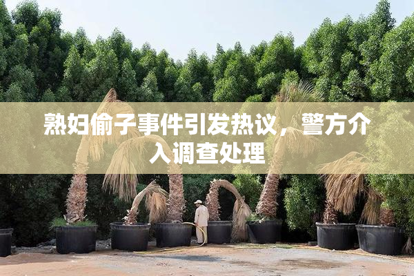 熟妇偷子事件引发热议，警方介入调查处理