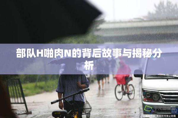 部队H啪肉N的背后故事与揭秘分析