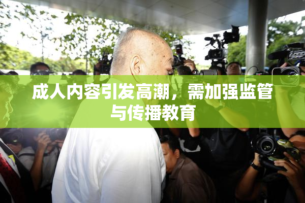 成人内容引发高潮，需加强监管与传播教育
