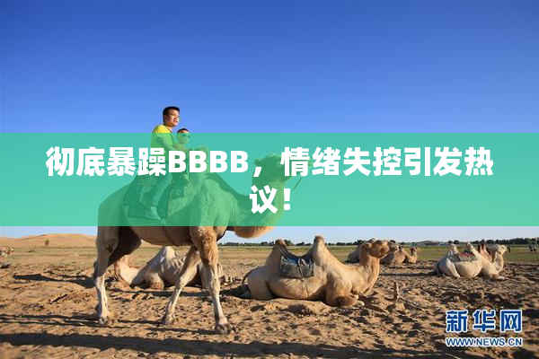 彻底暴躁BBBB，情绪失控引发热议！