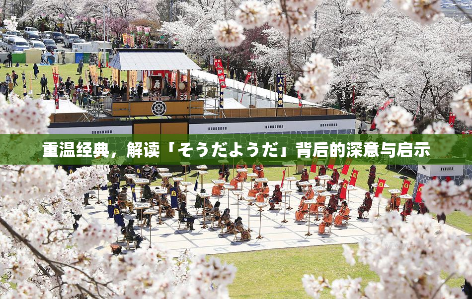 重温经典，解读「そうだようだ」背后的深意与启示