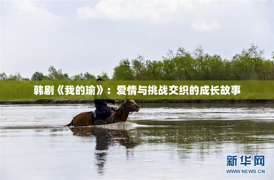 韩剧《我的瑜》：爱情与挑战交织的成长故事