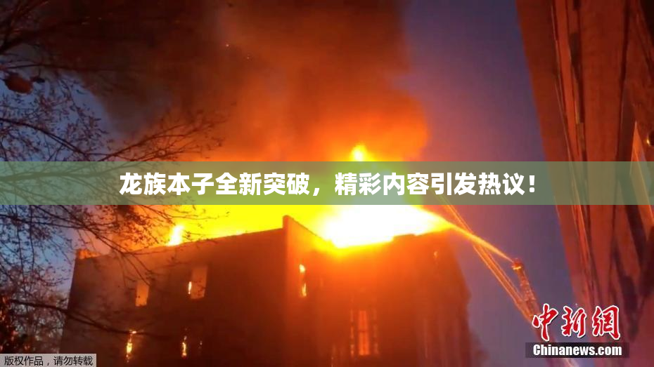 龙族本子全新突破，精彩内容引发热议！
