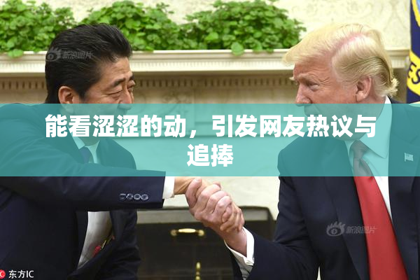 能看涩涩的动，引发网友热议与追捧