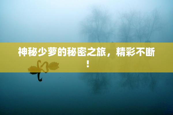 神秘少萝的秘密之旅，精彩不断！