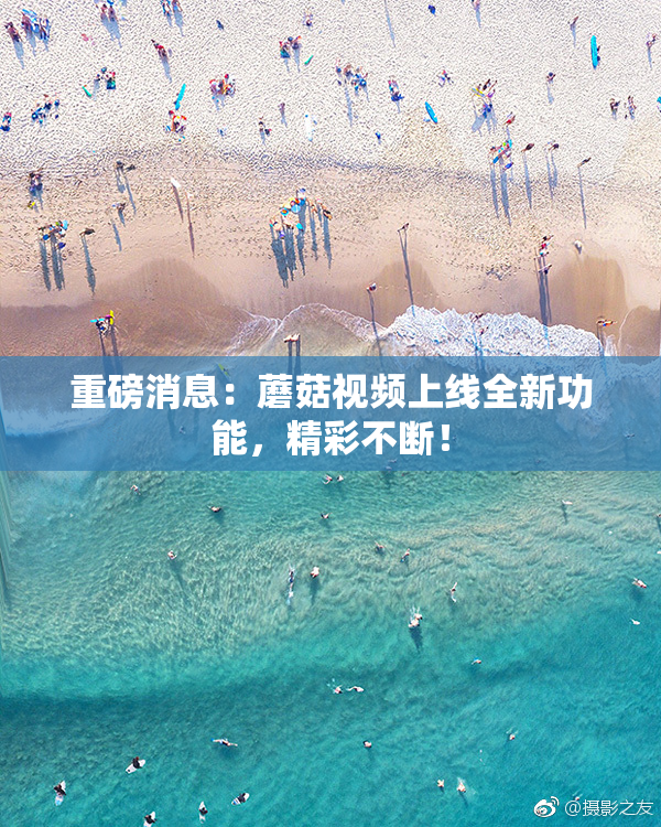 重磅消息：蘑菇视频上线全新功能，精彩不断！