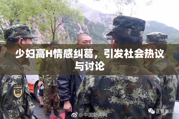 少妇高H情感纠葛，引发社会热议与讨论