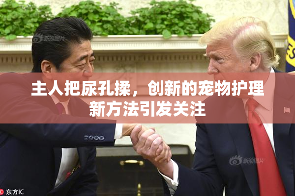 主人把尿孔揉，创新的宠物护理新方法引发关注