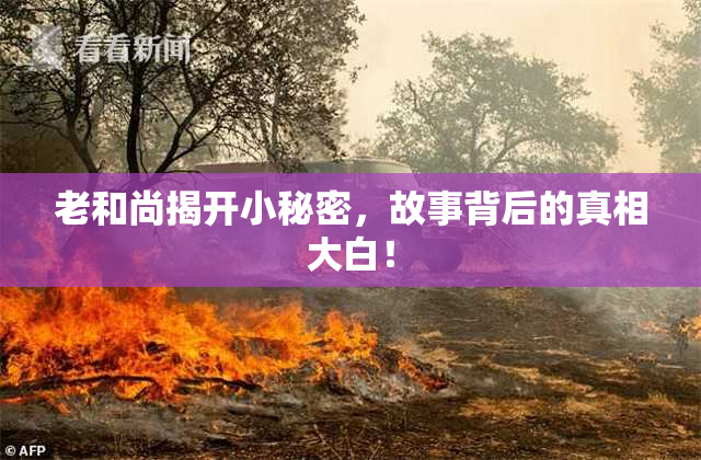 老和尚揭开小秘密，故事背后的真相大白！