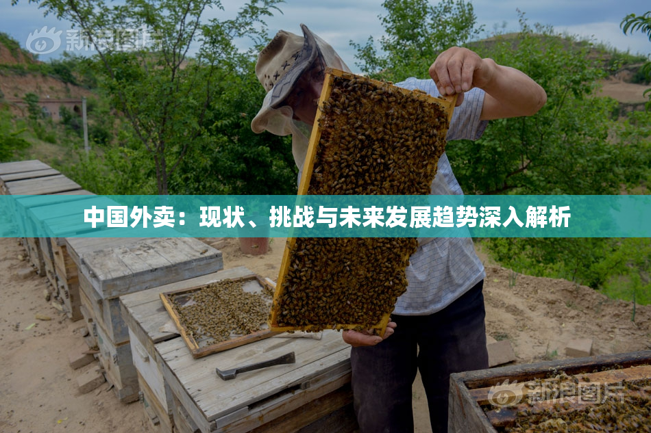 中国外卖：现状、挑战与未来发展趋势深入解析