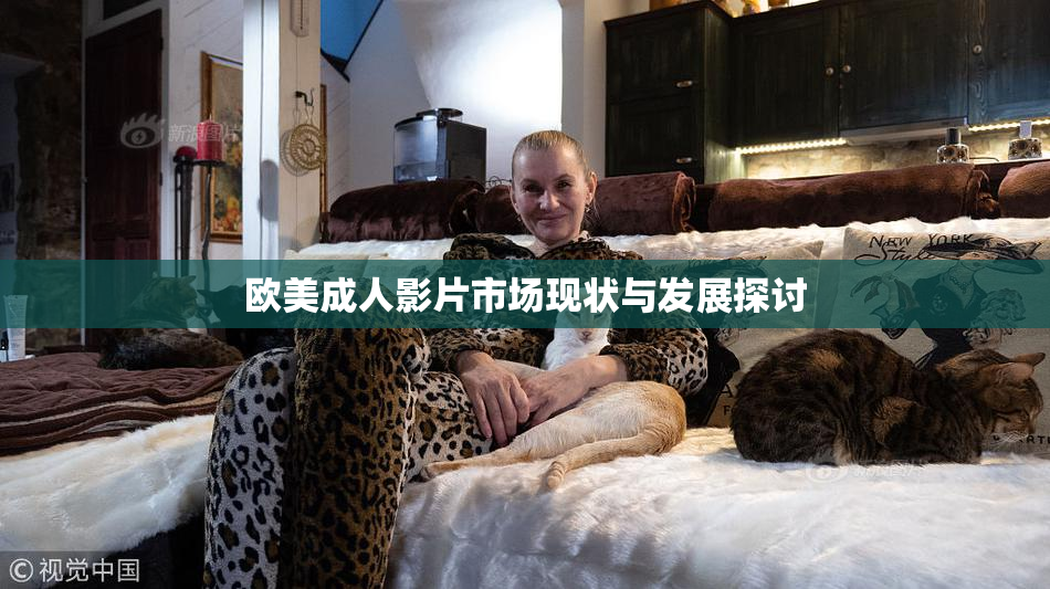 欧美成人影片市场现状与发展探讨
