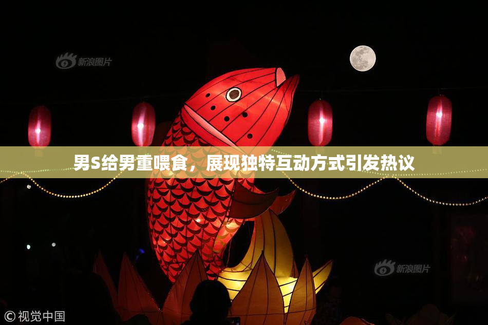 男S给男重喂食，展现独特互动方式引发热议