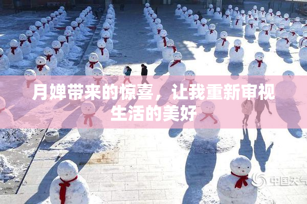 月婵带来的惊喜，让我重新审视生活的美好