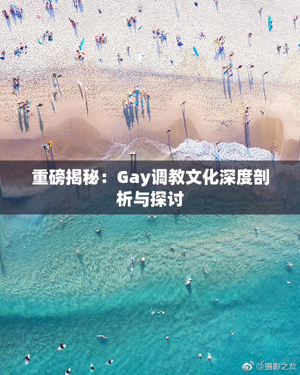 重磅揭秘：Gay调教文化深度剖析与探讨