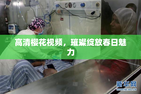 高清樱花视频，璀璨绽放春日魅力