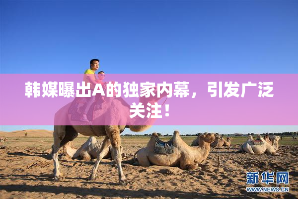 韩媒曝出A的独家内幕，引发广泛关注！