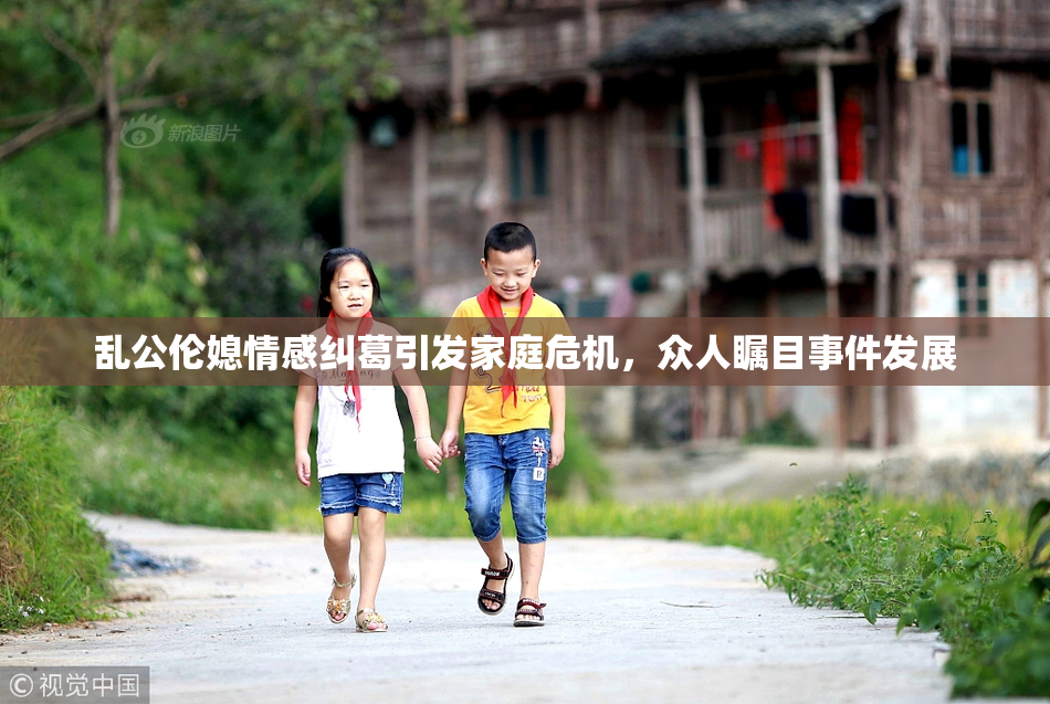 乱公伦媳情感纠葛引发家庭危机，众人瞩目事件发展